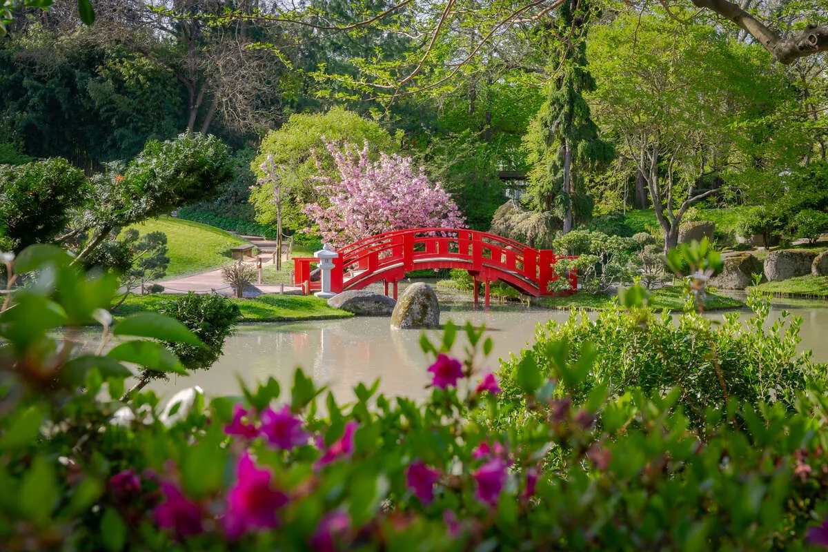 Image qui illustre: Explorez le jardin japonais avec un guide à Toulouse - 0