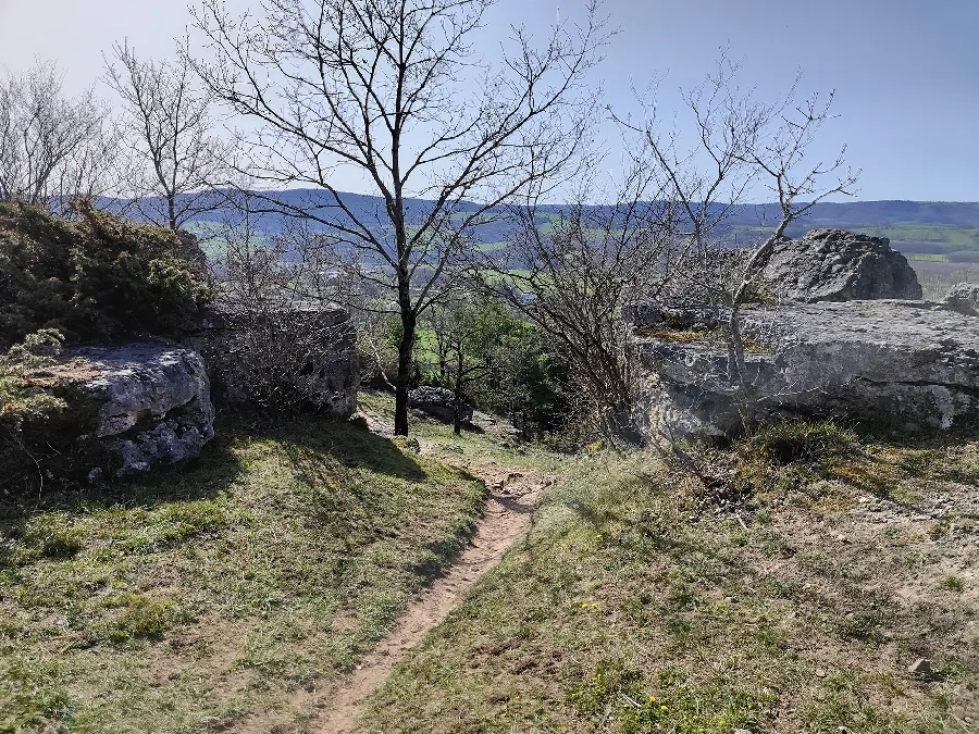 Image qui illustre: Trail d'Aqui - Montrozier à Montrozier - 0