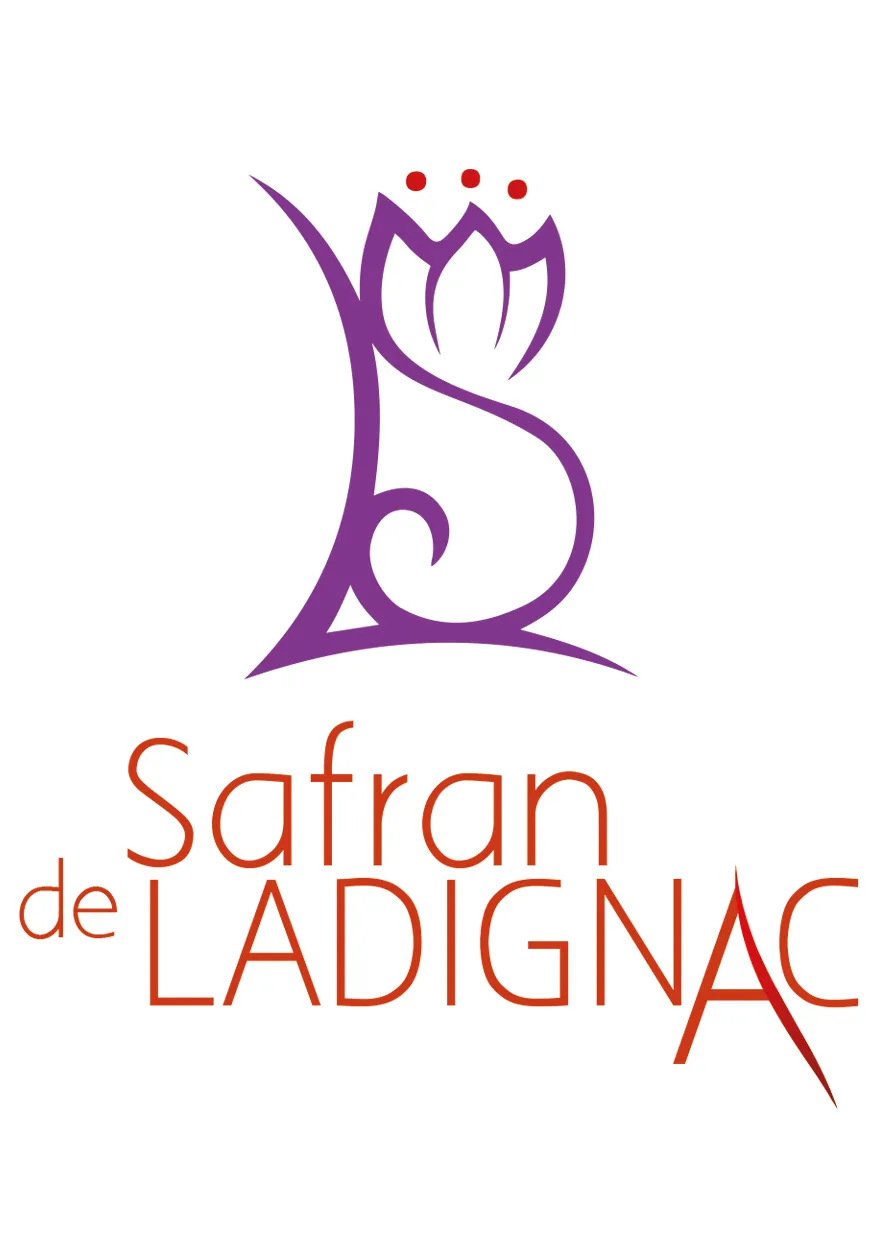 Image qui illustre: Safran De Ladignac à Durbans - 0