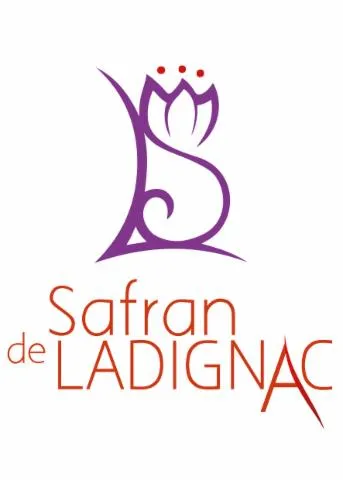 Image qui illustre: Safran De Ladignac