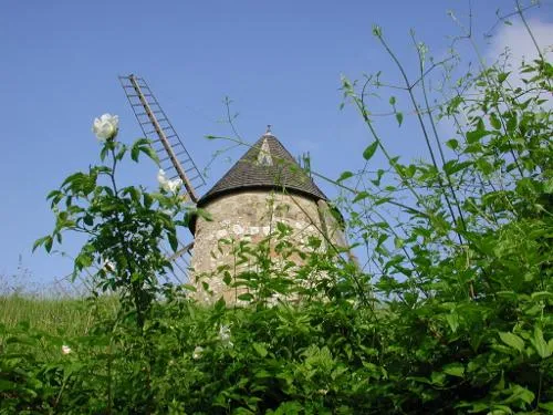 Image qui illustre: Tourtrès, Du Pech Du Moulin À Vent Au Bois De Verteuil