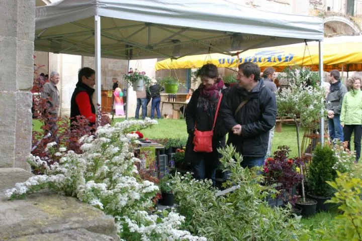 Image qui illustre: Marché De Terroir