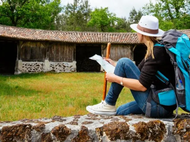 Image qui illustre: Etape Bazas - Captieux sur la voie de Vezelay