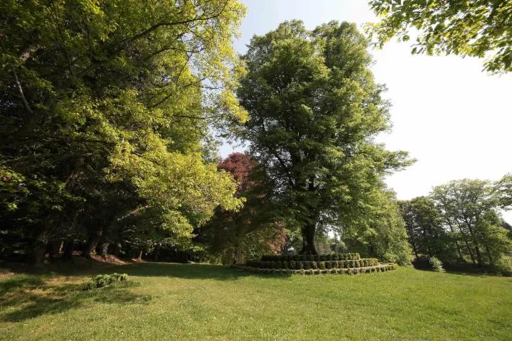 Image qui illustre: Visite guidée de l'Arboretum du château de Neuvic d'Ussel