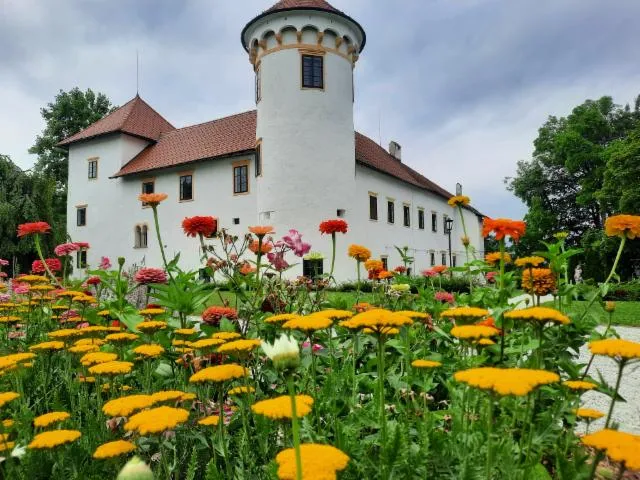 Image qui illustre: Visite du jardin floral du château de Bogenšperk