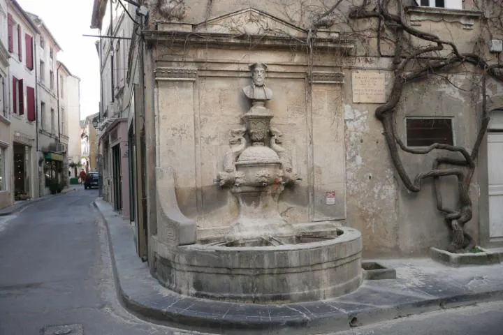 Image qui illustre: Fontaine Nostradamus