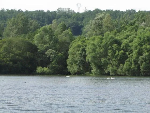 Image qui illustre: Lac Du Salabert