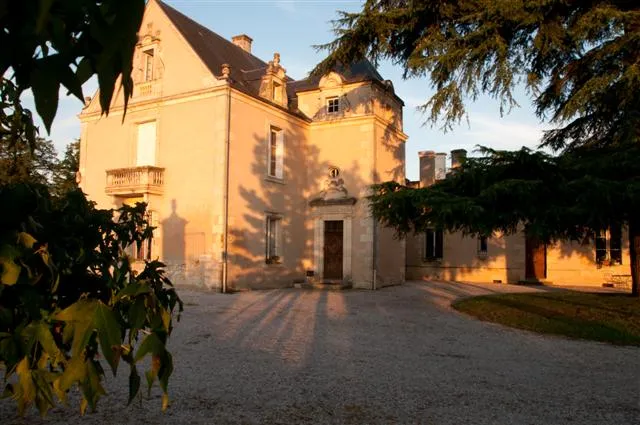 Image qui illustre: Château La Haye