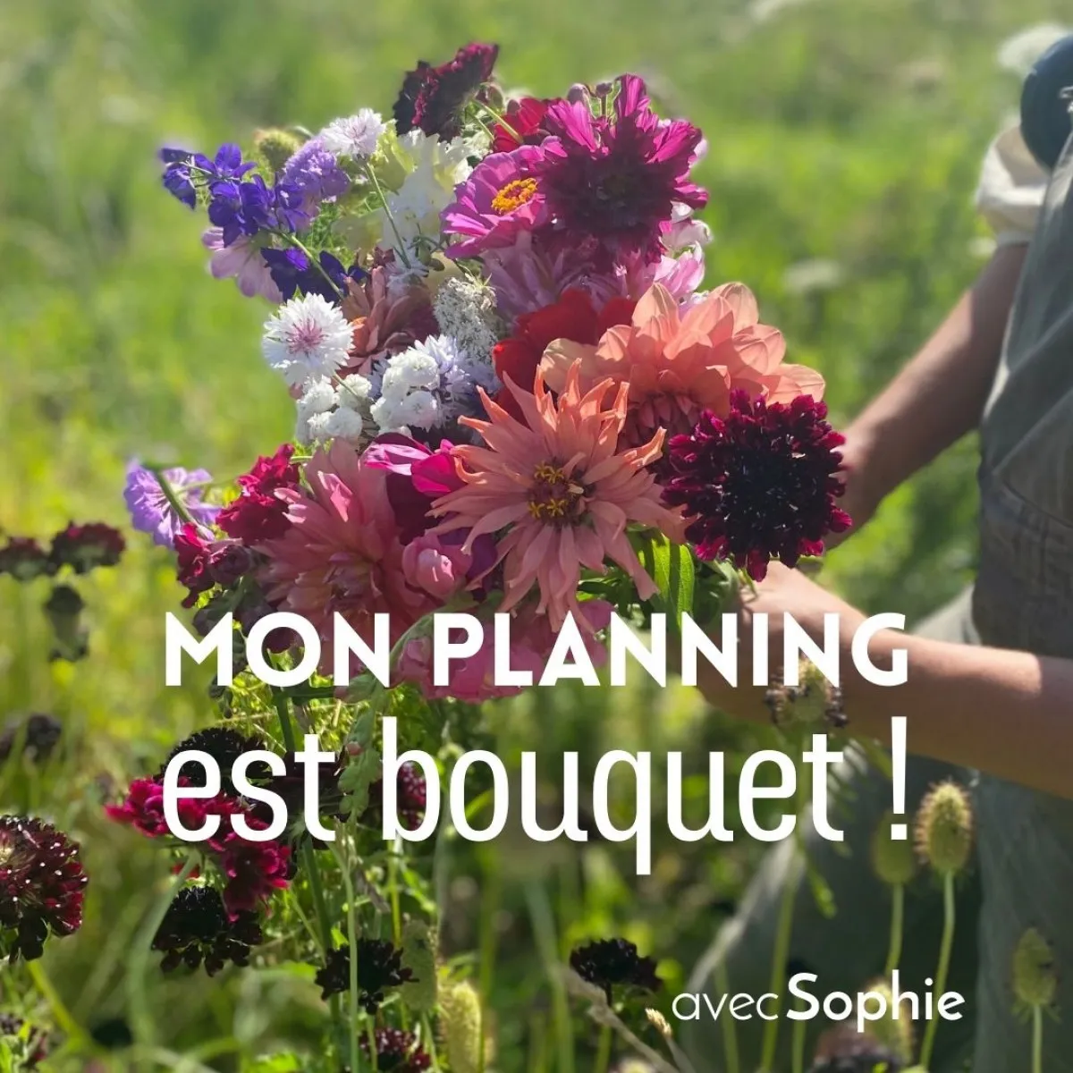 Image qui illustre: Créez votre bouquet de fleurs à la ferme florale à Montreuil - 0