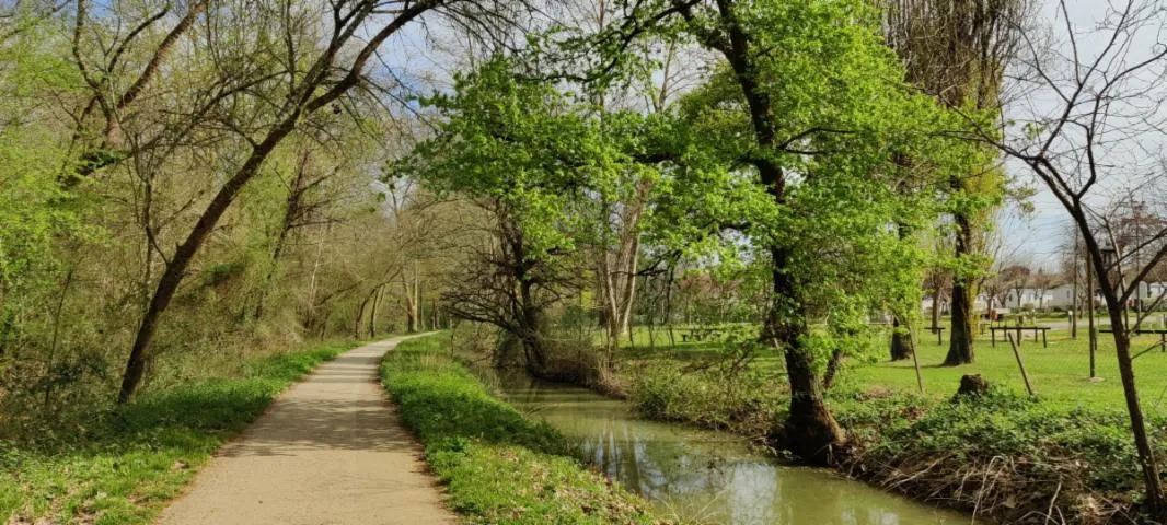 Image qui illustre: Eaux De Barthe