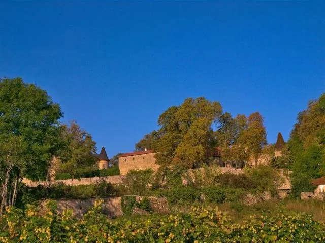 Image qui illustre: Château De Hombourg-budange