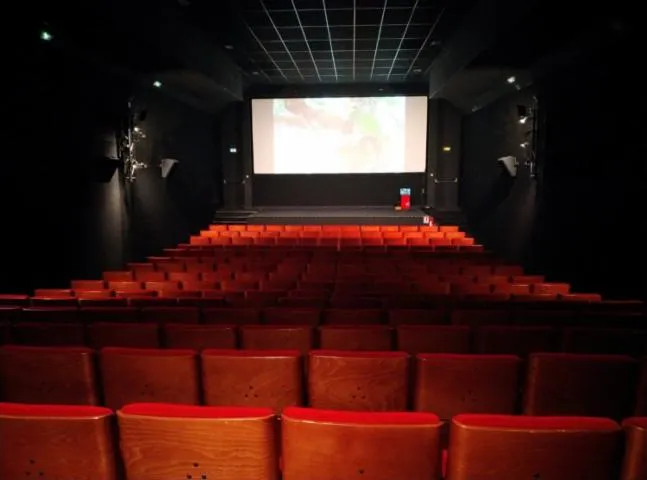 Image qui illustre: Cinéma Le Dunois