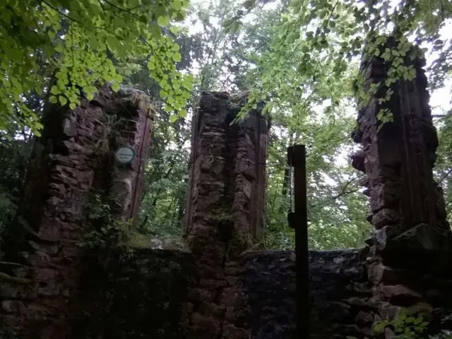 Image qui illustre: Ruine Du Tierkirchlein