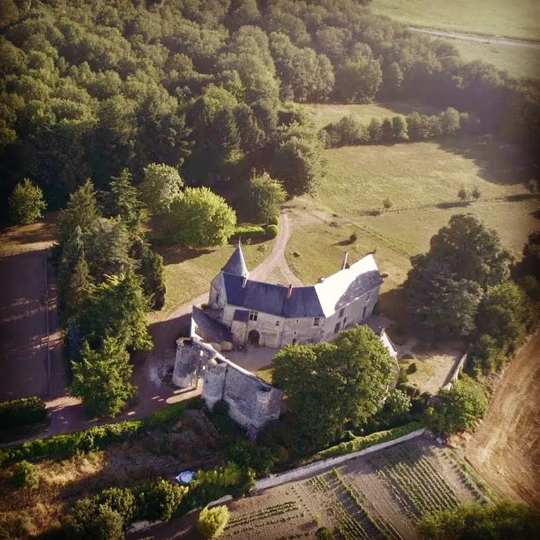 Image qui illustre: Château de la Roche-Martel à Roiffé - 0