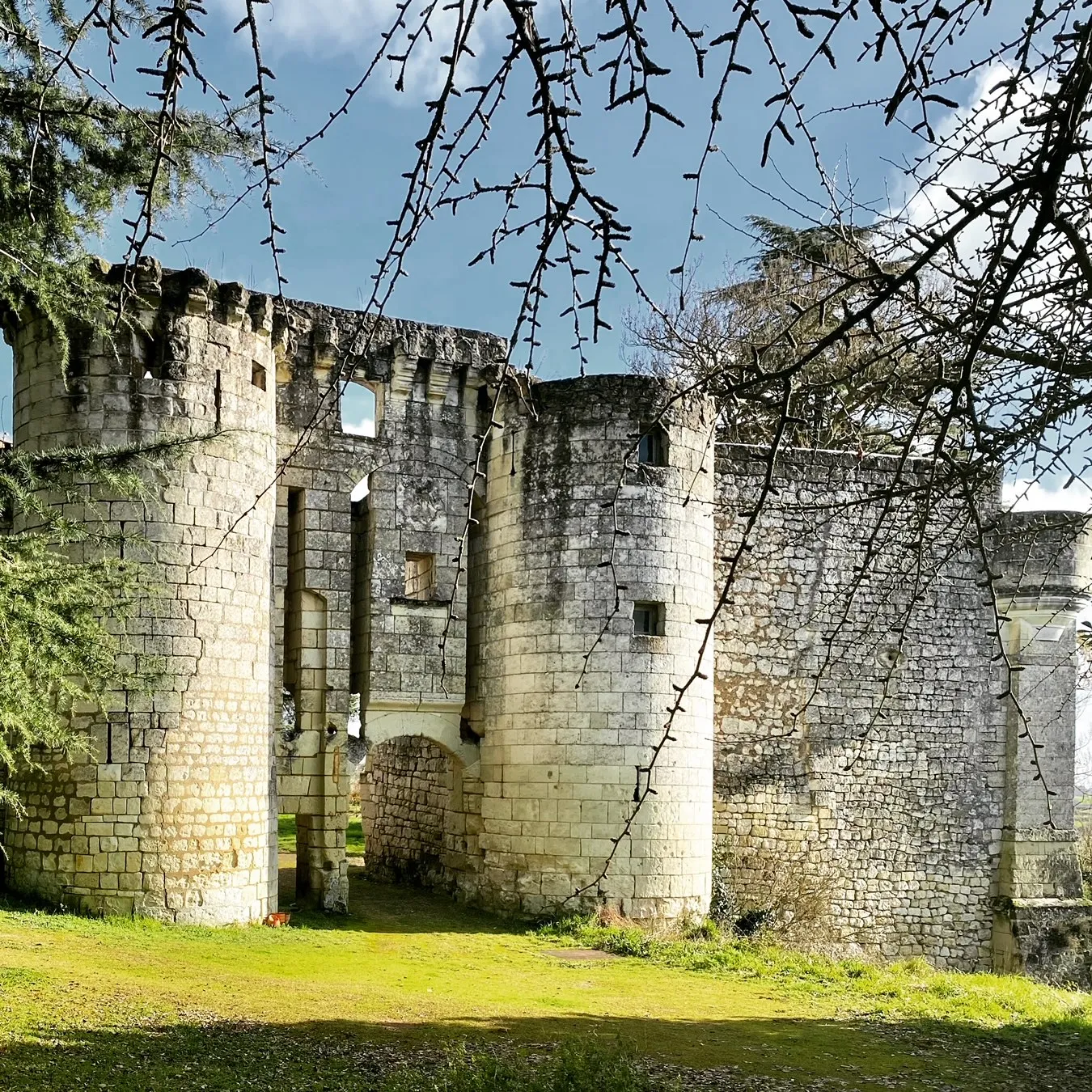 Image qui illustre: Château de la Roche-Martel à Roiffé - 1