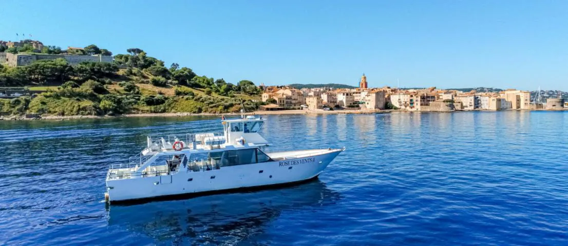 Image qui illustre: La Rose des Vents - Balades en Mer