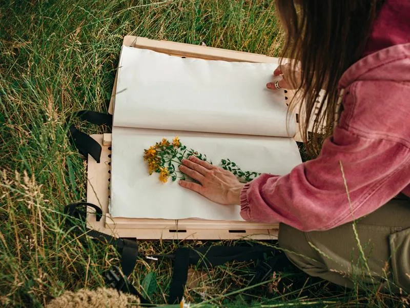 Image qui illustre: Créer Son Herbier En Peinture Végétale à Hombourg-Haut - 0