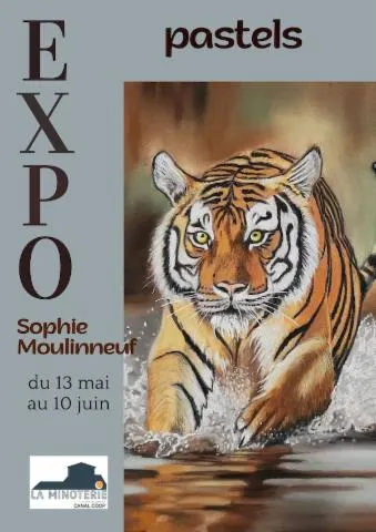 Image qui illustre: Exposition De Pastels De Sophie Moulinneuf