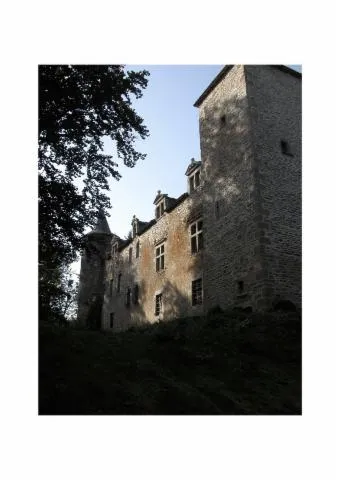 Image qui illustre: Entrez dans l'histoire au château de Massuguiès