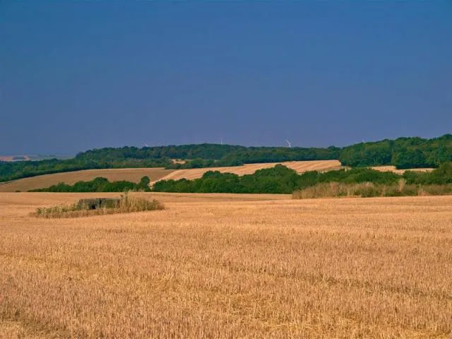 Image qui illustre: Circuit De La Vallée Du Bambesch