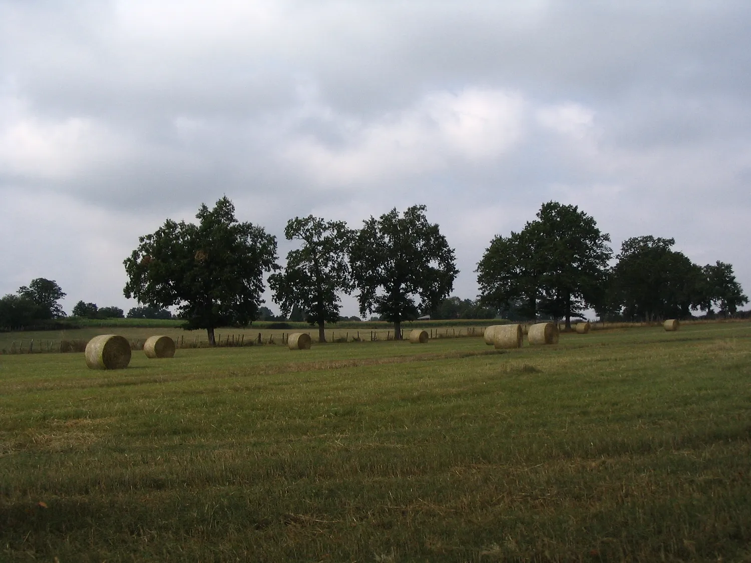 Image qui illustre: Liaison Flavignac - Les Cars à Flavignac - 1