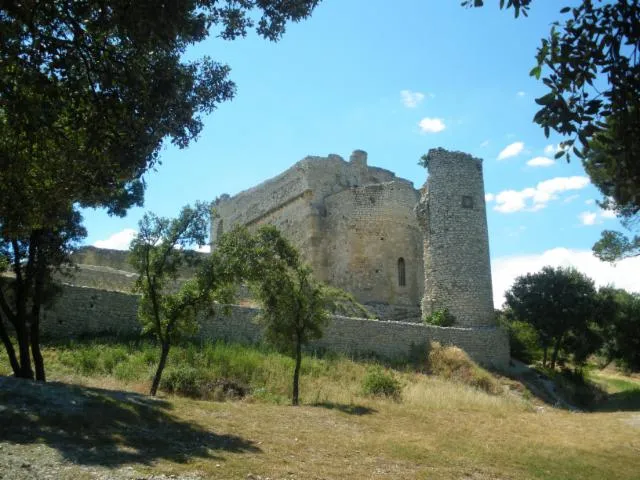 Image qui illustre: Château De Thouzon