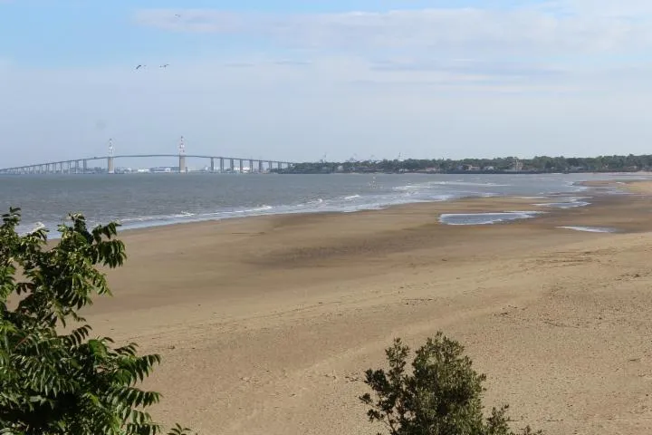 Image qui illustre: Plage Du Pointeau