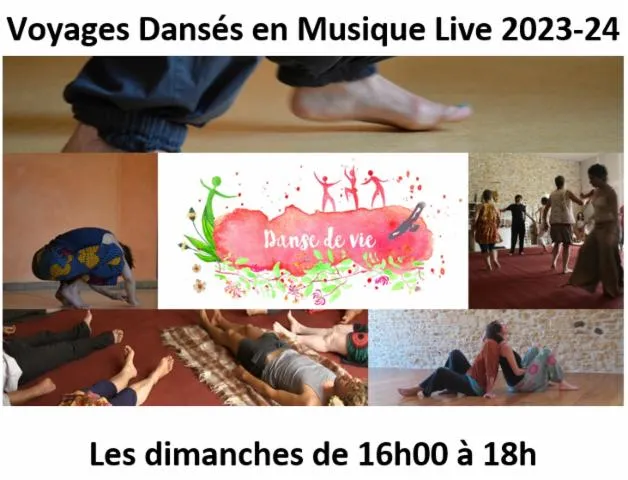 Image qui illustre: Danse De Vie - Voyages Dansés En Musique Live