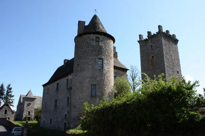 Image qui illustre: Sur les traces de Gauzfred de Monte Arnald  : étape à la tour du château de Sénergues