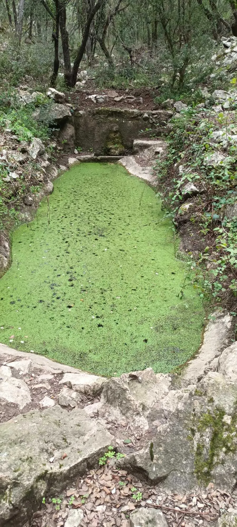 Image qui illustre: Action de réhabilitation d'une fontaine à Cabrières-d'Avignon - 0