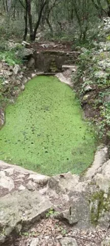 Image qui illustre: Action de réhabilitation d'une fontaine