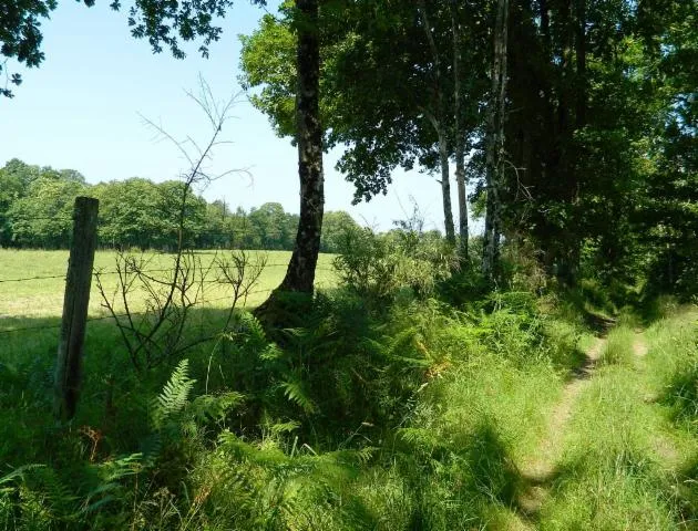 Image qui illustre: Sentier Du Dolmen