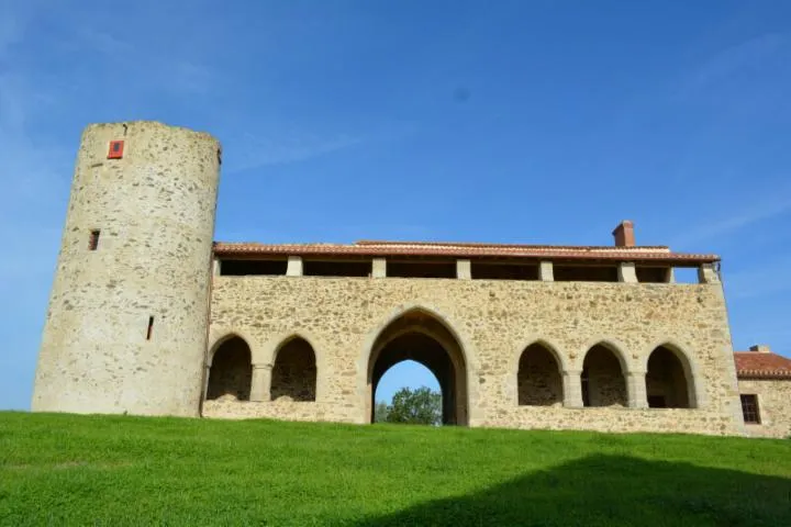 Image qui illustre: Visite guidée du logis-porche du château de la Touche