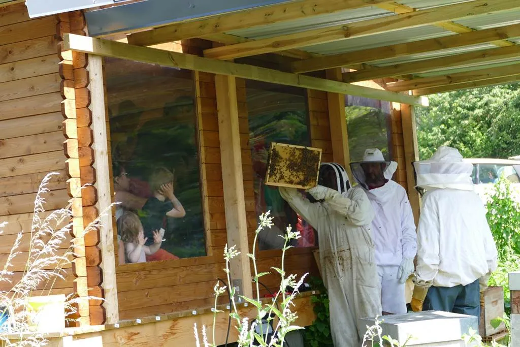 Image qui illustre: Le Rucher du Marcassin - Ferme pédagogique apicole  à Seraincourt - 0