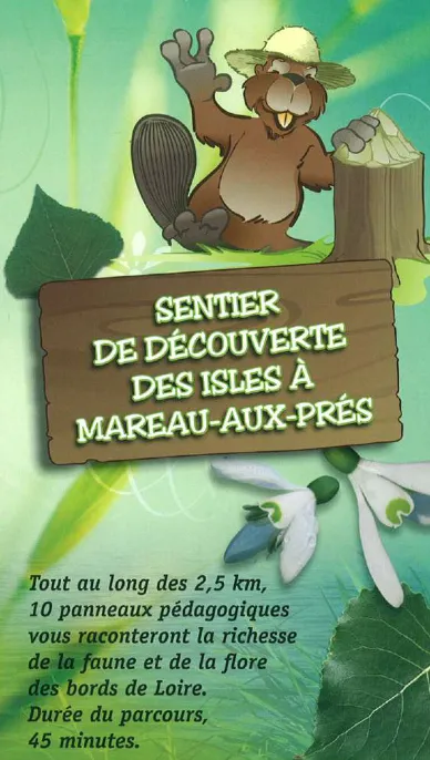 Image qui illustre: Sentier De Découverte Des Isles à Mareau-aux-Prés - 0