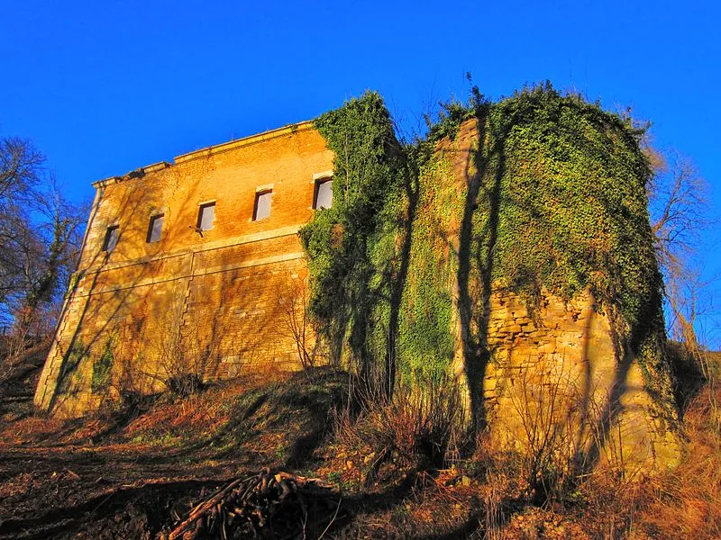 Image qui illustre: Ruines Du Château