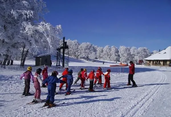 Image qui illustre: Station de ski de Laguiole Ski Alpin