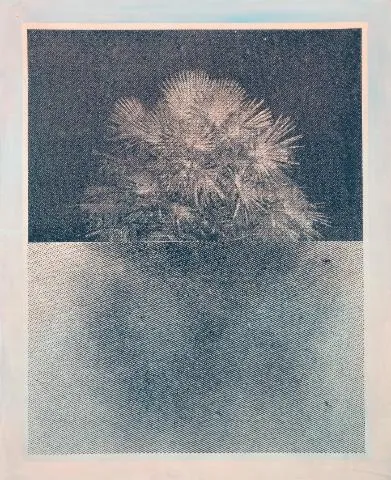Image qui illustre: Exposition de Marie Vandooren:  Croisements