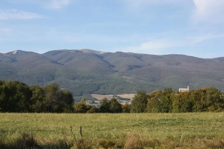 Image qui illustre: Montagne de Lure