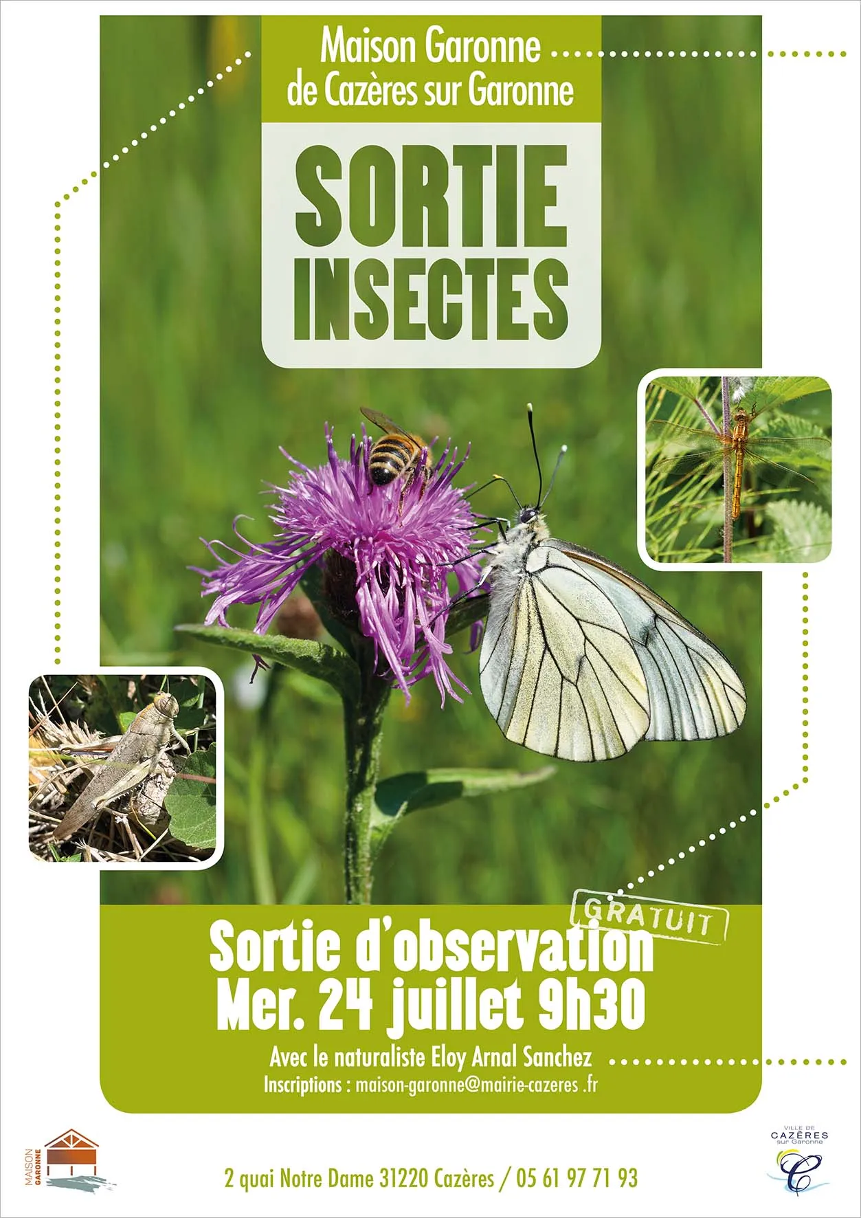 Image qui illustre: Sortie Insectes à Cazères - 0