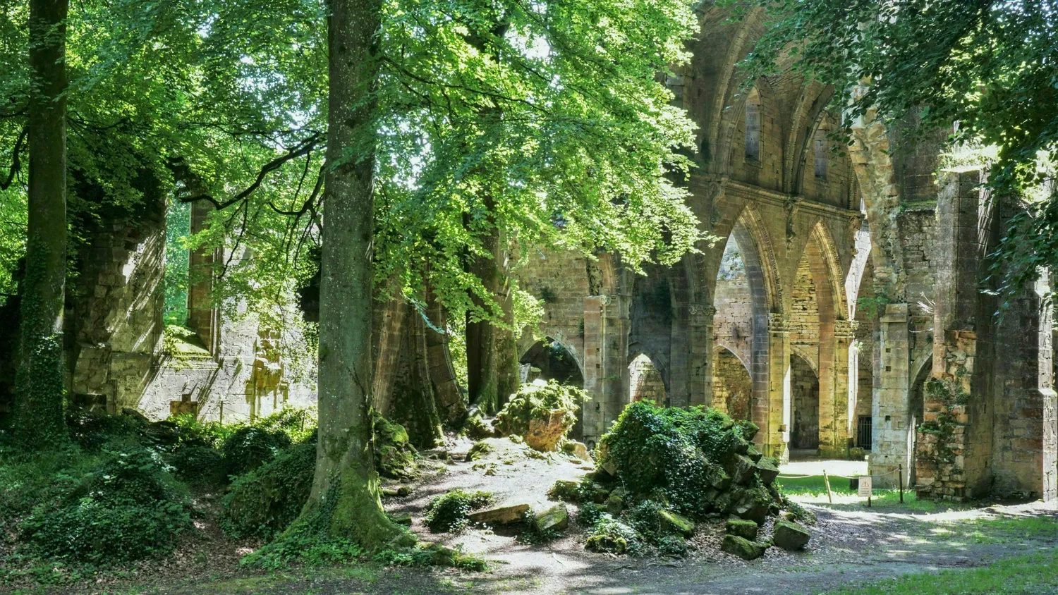 Image qui illustre: Participez à un jeu de piste Les mystères d'une abbaye cistercienne à Trois-Fontaines-l'Abbaye - 0