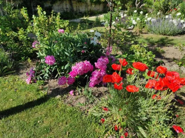 Image qui illustre: Découverte libre et exceptionnelle d'un jardin privé