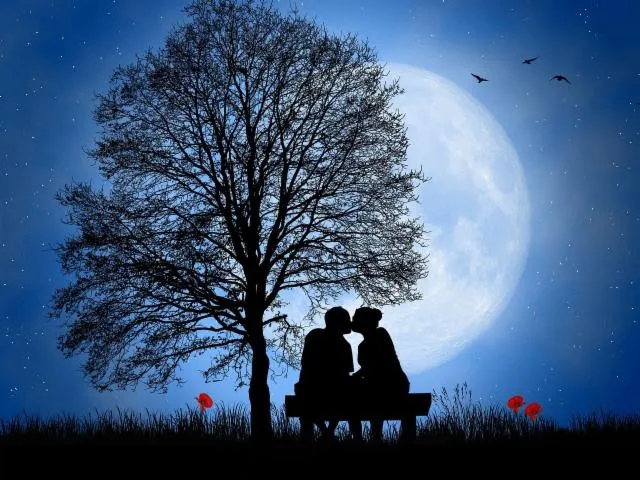 Image qui illustre: La Nuit Romantique
