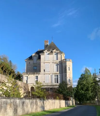 Image qui illustre: Château De La Roche-racan