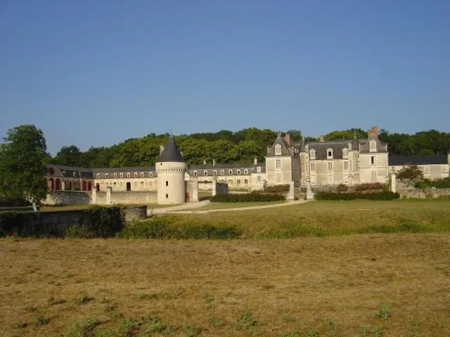 Image qui illustre: Château De Gizeux