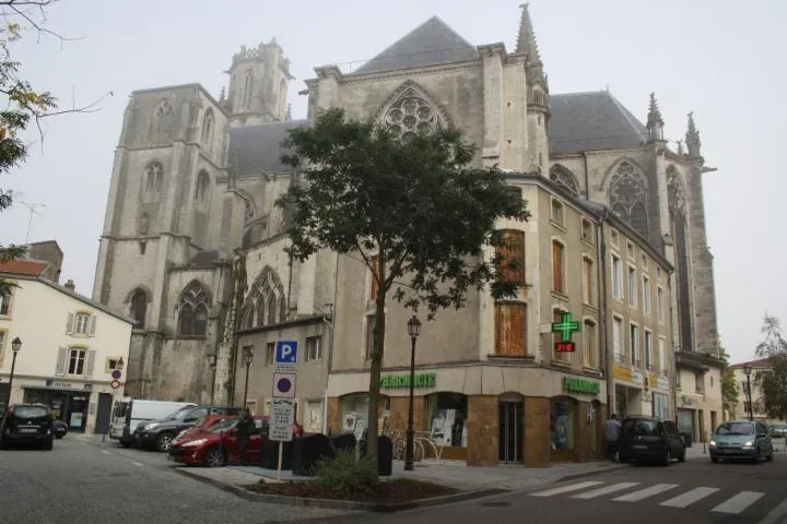 Image qui illustre: Collégiale Saint-Gengoult