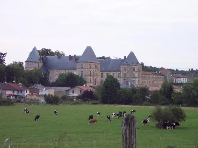 Image qui illustre: Château De Louppy-sur-loison