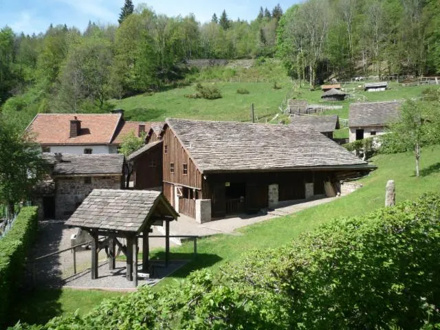 Image qui illustre: Musée Départemental De La Montagne