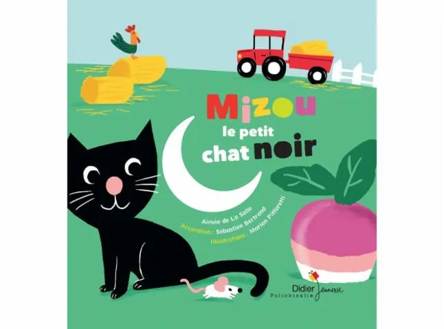 Image qui illustre: Mizou Le Petit Chat Noir