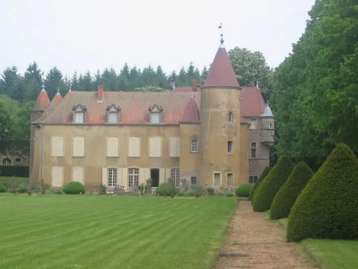 Image qui illustre: Château De L'aubépin à Fourneaux - 0